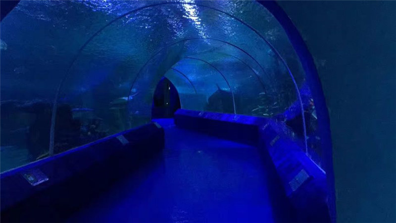 180 ili 90 stupnjeva akrilnih ploča za tunel akvarija
