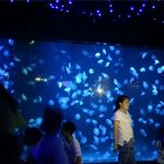 Staklo akvarijskog akrilnog meduza akvarijskog akvarija 2018