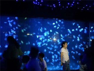 Staklo akvarijskog akrilnog meduza akvarijskog akvarija 2018
