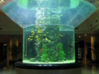 pmma stakleno akvarij polusvjetlo perspex jasno riblja cisterna