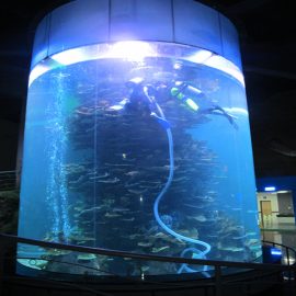 čisti akrilni cilindar velikog akvarija za akvarije ili oceanski park