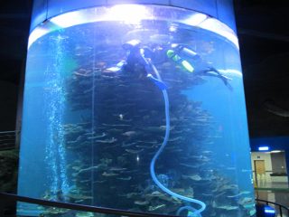 čisti akrilni cilindar velikog akvarija za akvarije ili oceanski park