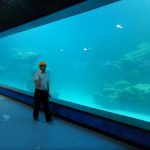 UV akrilna ploča od lijevanog zida za akvarij, oceanarium