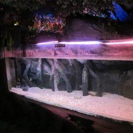 Akrilna bazenska ploča / prozor za podvodni morski svijet