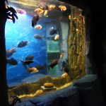 2018 Vrhunska akrilna ploča za prozor akvarija