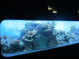 Umjetna cast akrilna Cilindrična prozirna riba akvarij / prozorski prozor