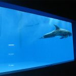 visoke kvalitete Veliki akril akvarij / prozor bazena podvodni debeli prozorski list