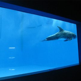 visoke kvalitete Veliki akril akvarij / prozor bazena podvodni debeli prozorski list