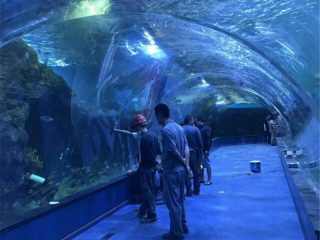 Akvarijski tunel oceanarium projekt u javnim akvarijima