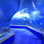 Jasno pmma akril Veliki plastični tunel akvarija