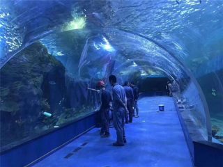 Akvarijski akrilni tunel od pleksiglasa