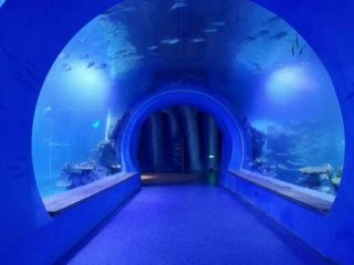Visoko čist akvarijski akvarij različitih oblika