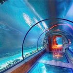 Moderni dizajn akrilni akvarijski dugi tunel