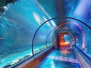 Moderni dizajn akrilni akvarijski dugi tunel