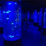 staklo akvarijskog akrilnog meduza akvarijskog spremnika