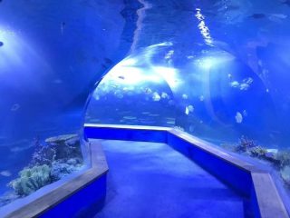 prozirno akrilno staklo Akvarij tunela